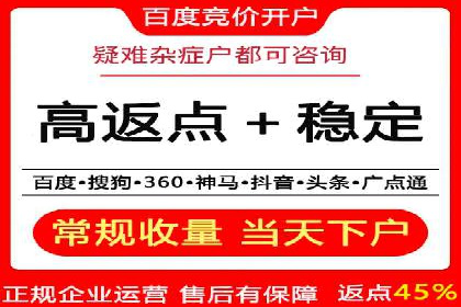 百度竞价推广运营策略：成功案例解析